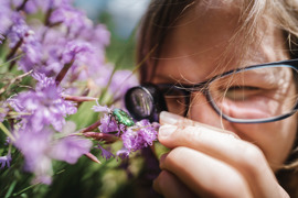 Naturschutz Ranger © Nationalpark Gesäuse Stefan Leitner Naturschutz Ranger