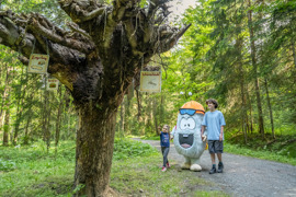 Themenweg: Yappys Rätselweg in Oberndorf in Tirol
