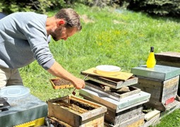 © Imkerschule Kärnten