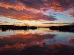 Neusiedler See © (c)TVB Nordburgenland_A. Göschl Neusiedler See