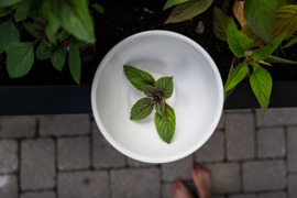 © David Innerhofer / KaiserMoments