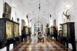 Kunst- und Wunderkammer © DomQuartier GmbH Kunst- und Wunderkammer