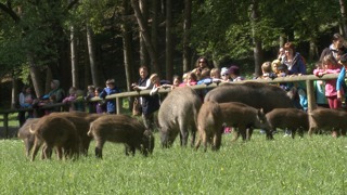 © Naturpark Sparbach