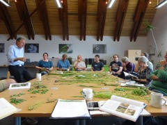 BIO FORSCHUNG AUSTRIA © BIO FORSCHUNG AUSTRIA BIO FORSCHUNG AUSTRIA