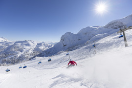 © Johann Steinwender