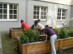 Hochbeete © Berufsschule für Handel und Reisen Hochbeete