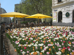 Foto 03 © The Highlander Ulrich Schneider KEG Foto 03