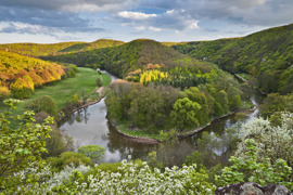Umlaufberg im Frühling © Nationalpark Thayathal GmbH Umlaufberg im Frühling