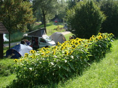 Camping und Pension Au an der Donau © Camping und Pension Au an der Donau Camping und Pension Au an der Donau