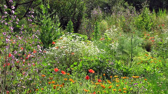 Steinschalerhof Garten mit Blumen und Kräutern Steinschalerhof Garten mit Blumen und Kräutern
