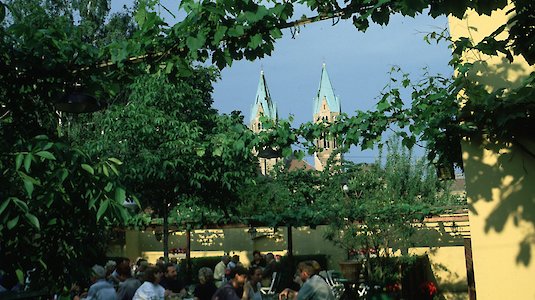 weingut_hengl_haselbrunner weingut_hengl_haselbrunner