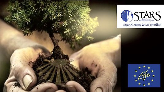 Logo des Stars 20 Projektes Logo des Stars 20 Projektes