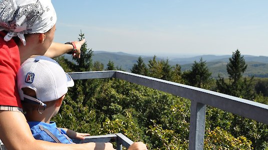 Vater und Sohn genießen die Aussicht im Wienerwald Vater und Sohn genießen die Aussicht im Wienerwald