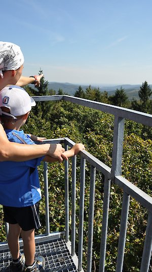 Der Wienerwald bietet eine atemberaubende Aussicht Der Wienerwald bietet eine atemberaubende Aussicht