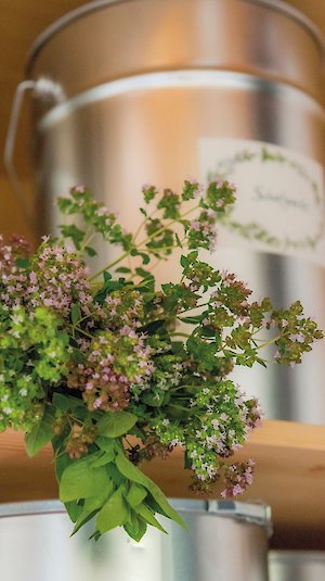 Kräuter_Impression_Retter_BioGut_Tophotel_Steiermark Kräuter_Impression_Retter_BioGut_Tophotel_Steiermark