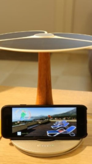 Solar ginko Solar ginko