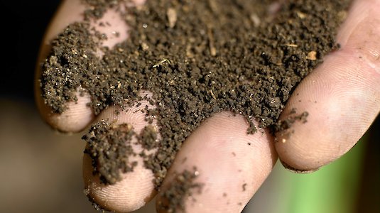 Komposterde Komposterde