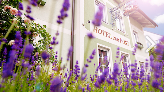 Grünes Hotel Salzburg Grünes Hotel Salzburg