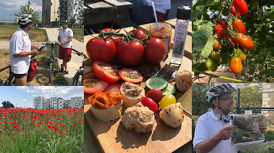 Seestadt in die Welt Seestadt in die Welt