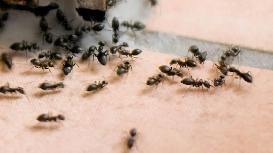 Shestakoff - Fotolia.co Shestakoff - Fotolia.co