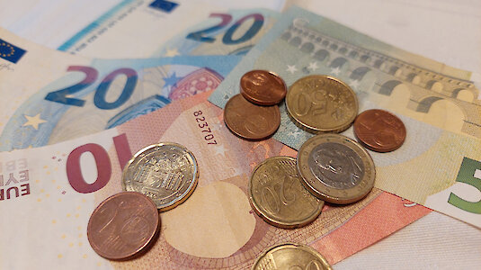 Gelb blühende Rosen Gelb blühende Rosen