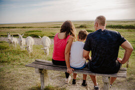 Nationalpark, Nordburgenland Nationalpark, Nordburgenland