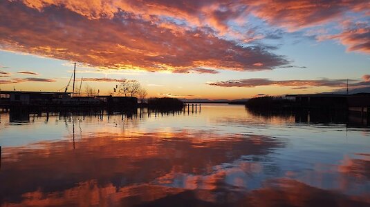 Neusiedlersee Neusiedlersee