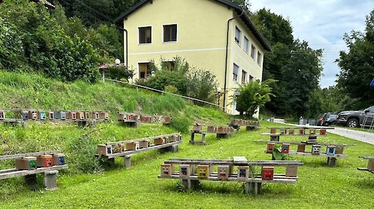 Bienenstöcke vor der Imkerschule Kärnten Bienenstöcke vor der Imkerschule Kärnten