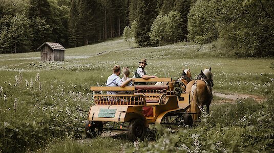Pferdekutschenfahrt Blaa Alm_04_(c) TVB Ausseerland - Salzkammergut_Katrin Kerschbaumer